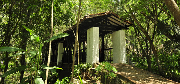Slide Image